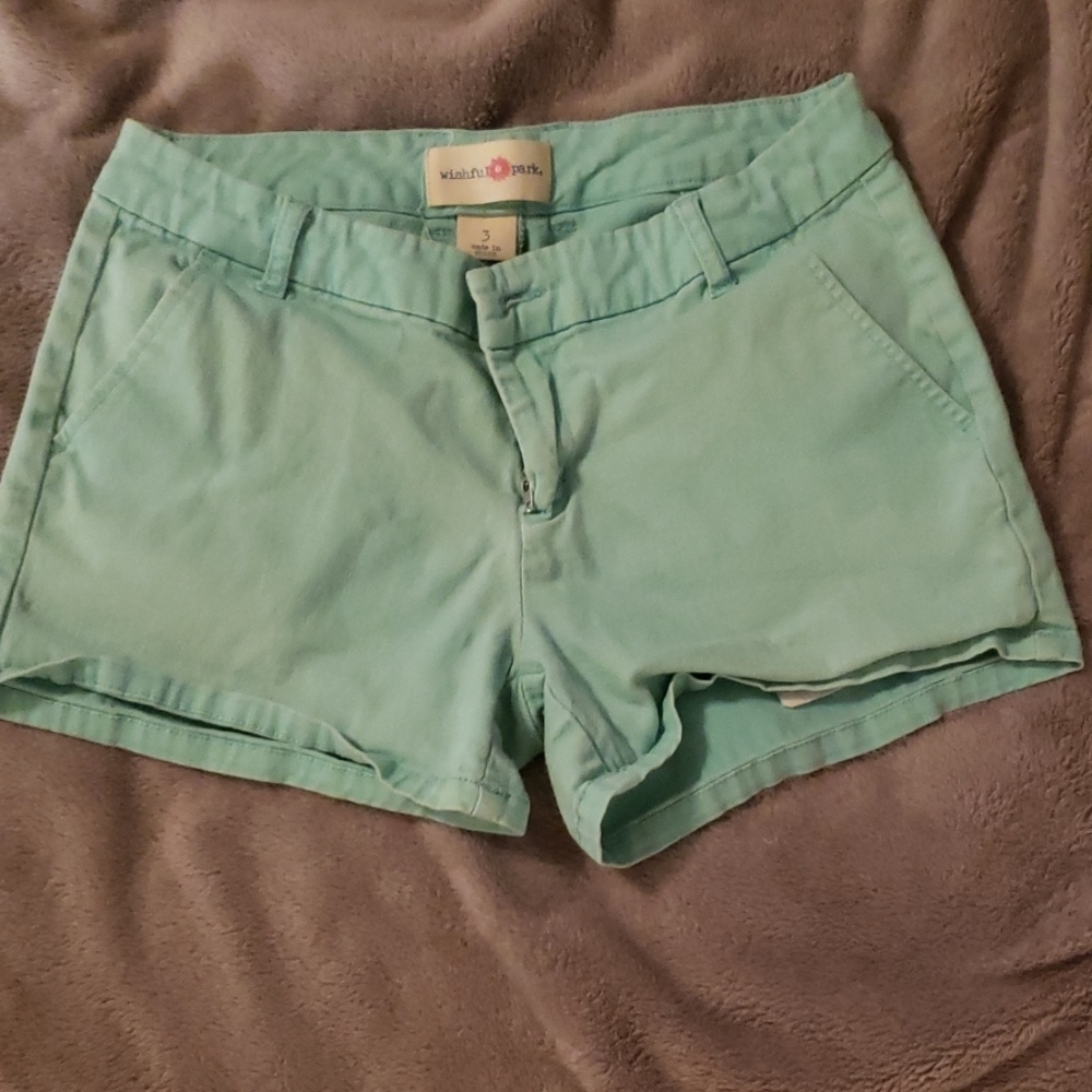 Mint Green Wishful Park Shorts